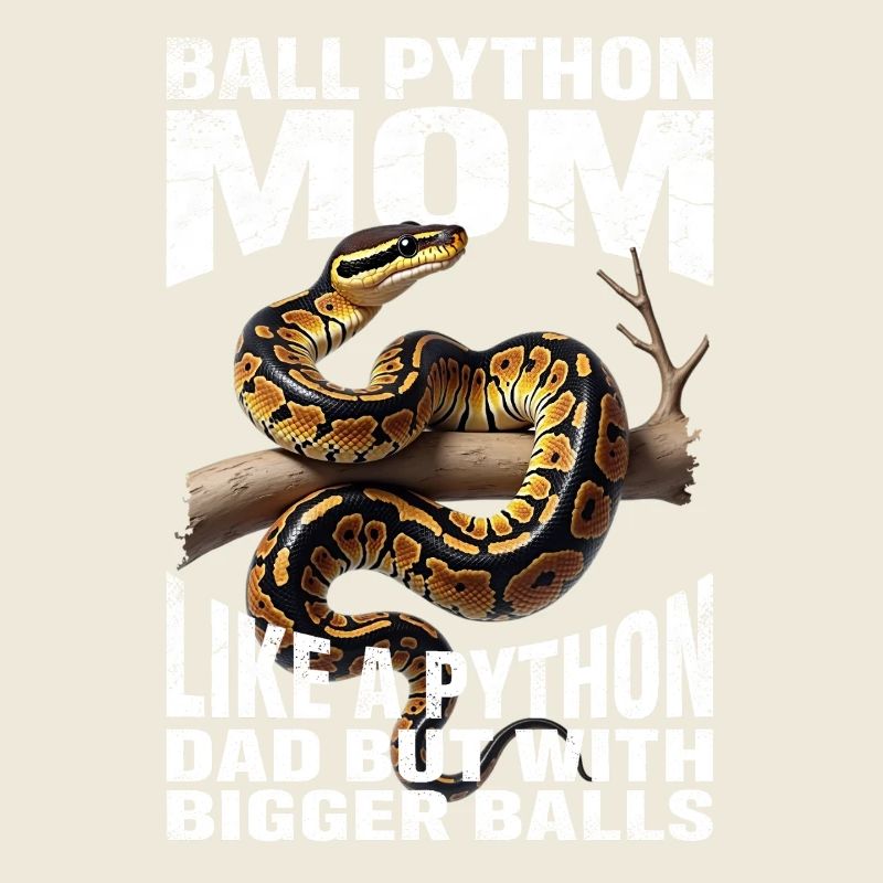 Königspython Mom Mama Schlangen Terrarium Python