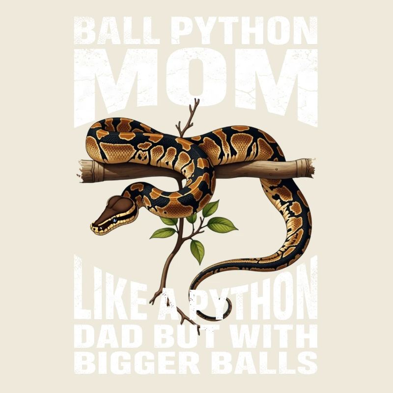 Königspython Mom Mama Schlangen Terrarium Python