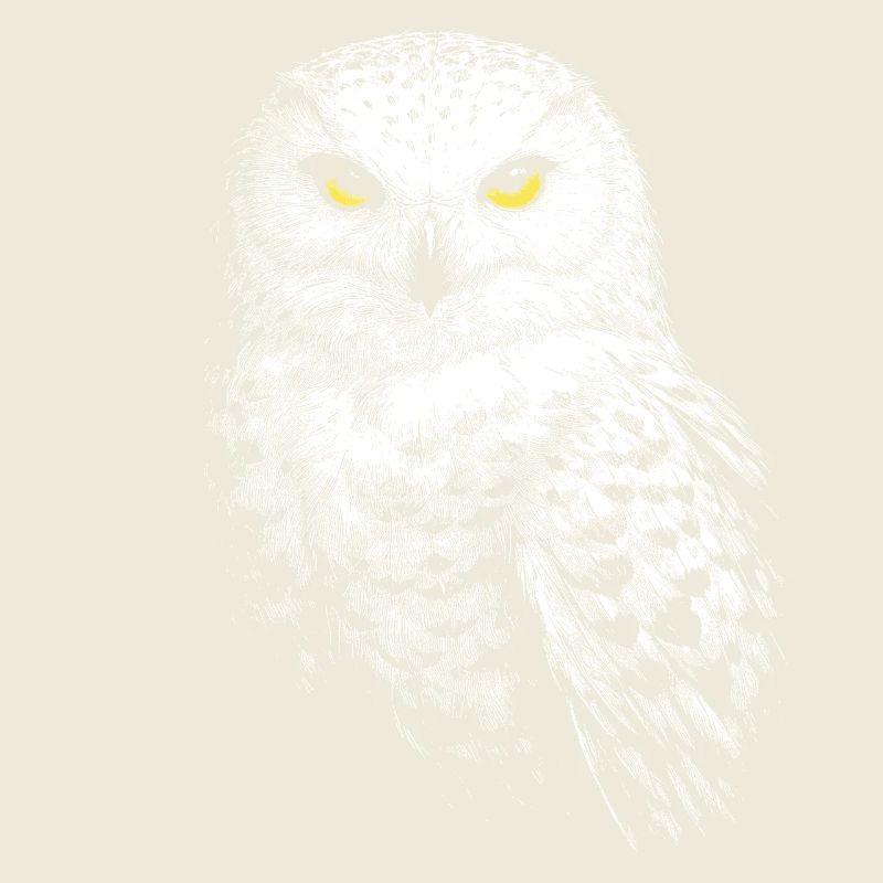 Harfang des neiges