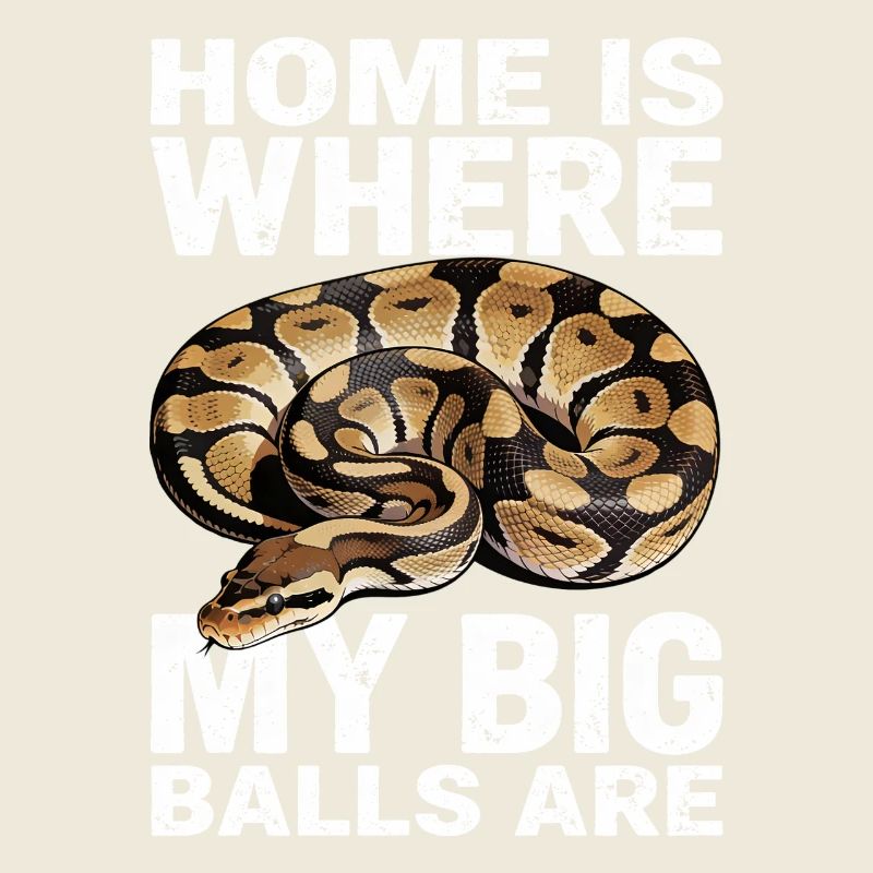 Python roi Serpents Amateurs de terrarium Python