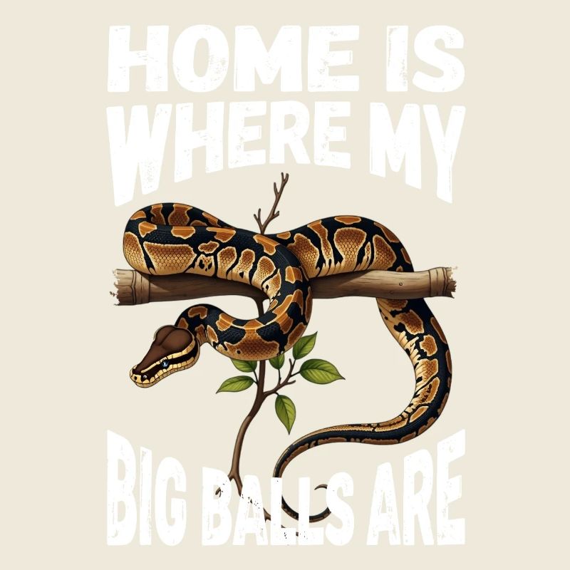 Königspython Schlangen Liebhaber Terrarium Python