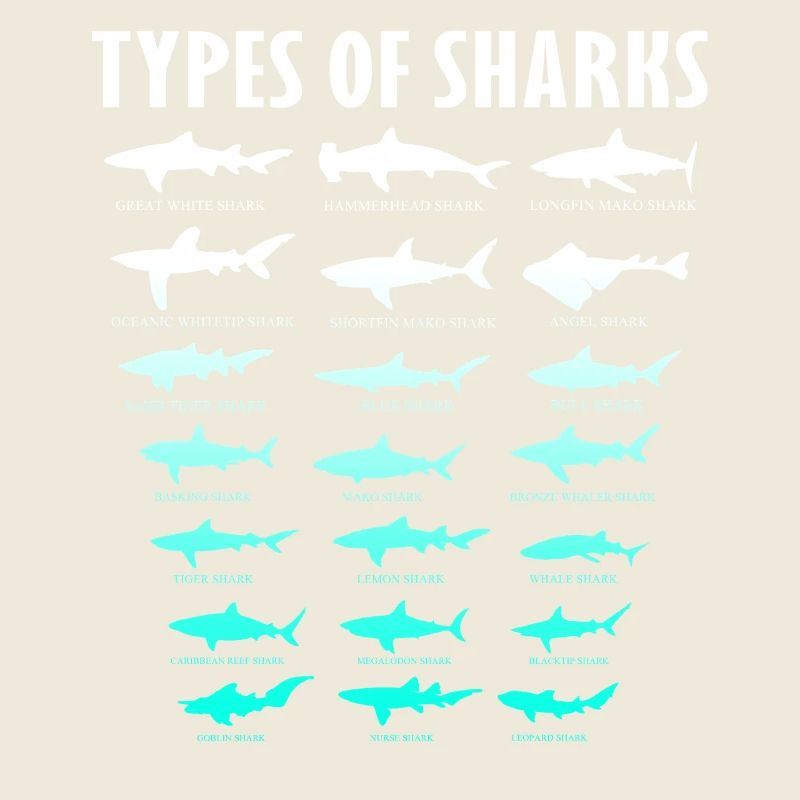 Types de requins Conception des requins d’océan | Chemise de requin