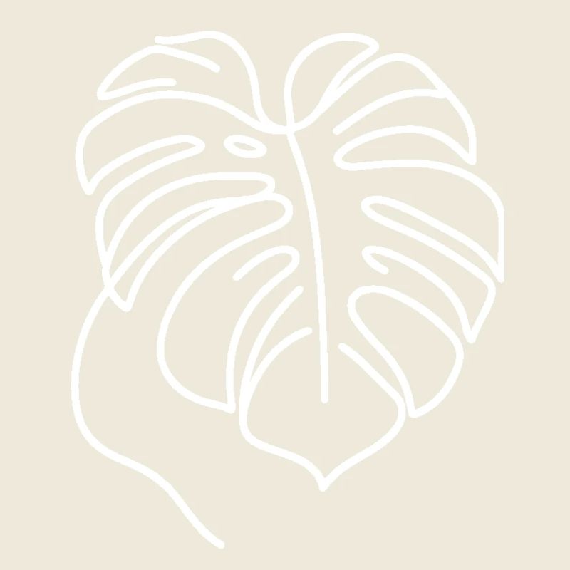 Monstera
