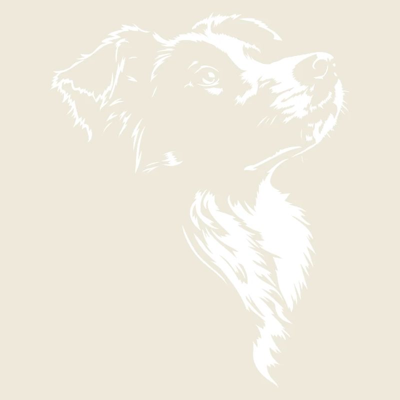Border Collie Silhouette Hütehunde Hunde Wilsigns