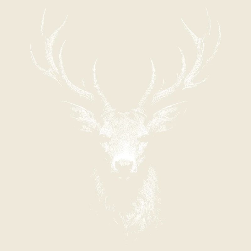 roe deer