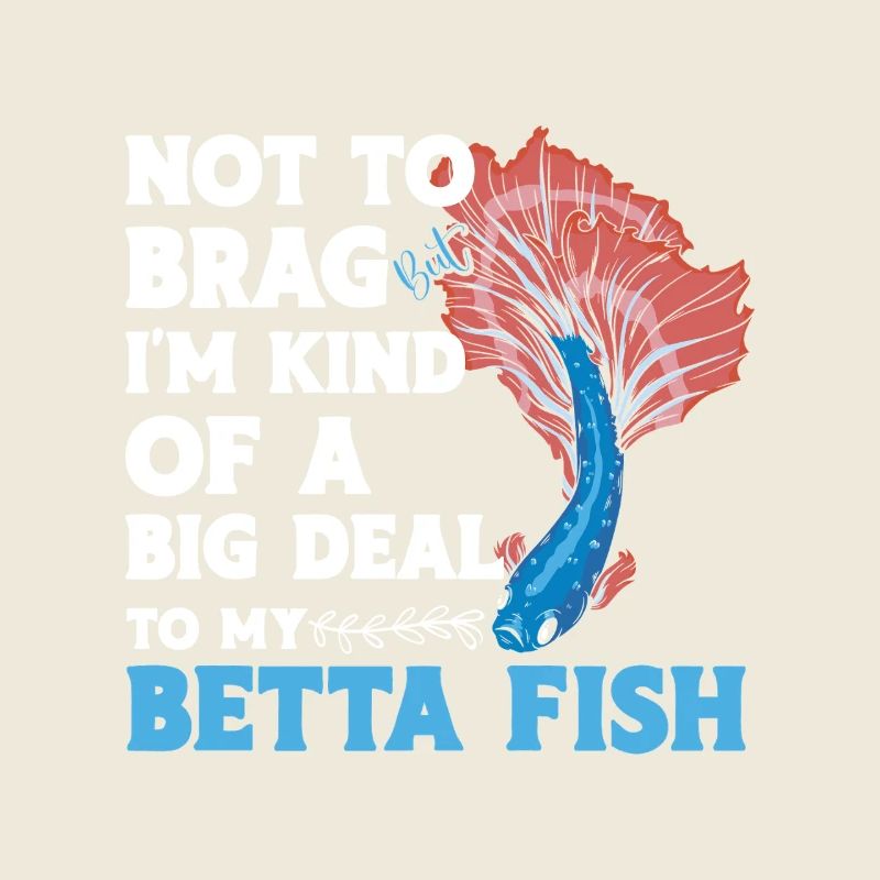 Betta du propriétaire d’aquarium siamois de combat