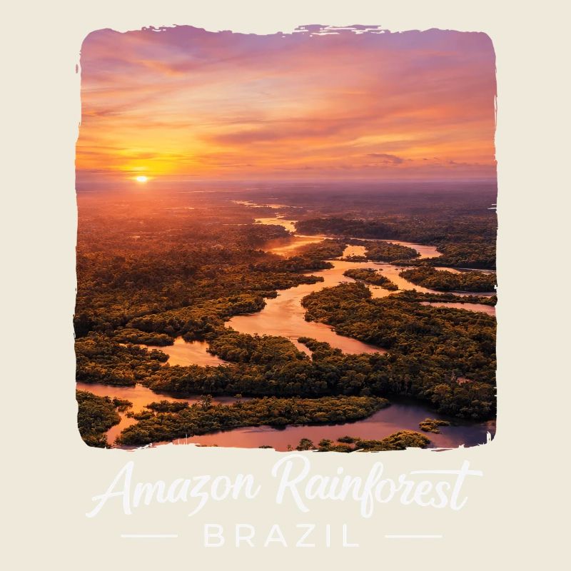 Rainforest Sunset Brazil