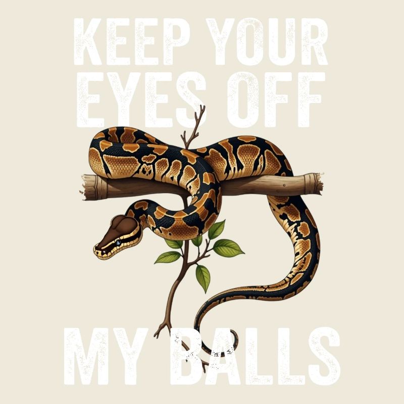 Python roi Serpents Amateurs de terrarium Python