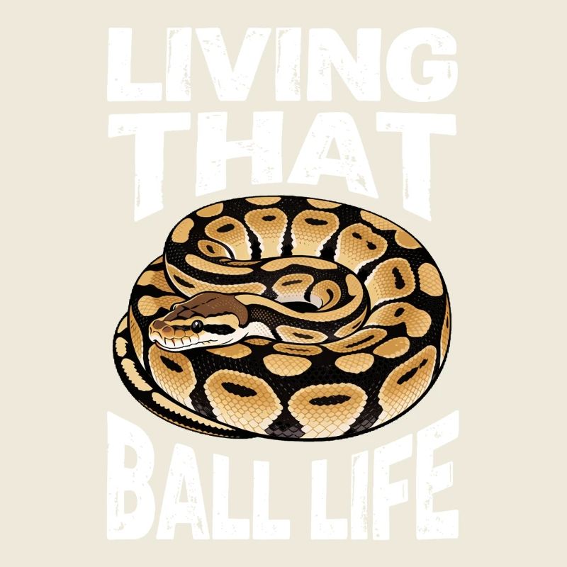 Python roi Serpents Amateurs de terrarium Python