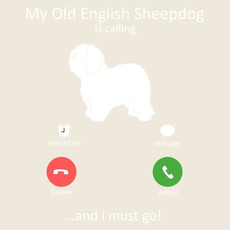 Altenglischer Schäferhund ruft Telefonbildschirm