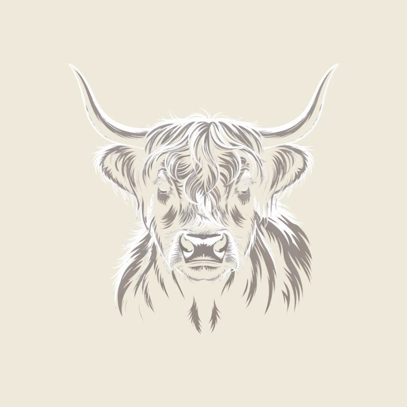 Bovins écossais des Highlands