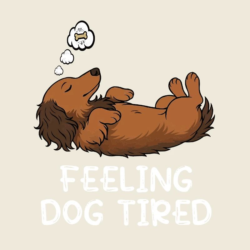 Se sentir fatigué par chien Teckel