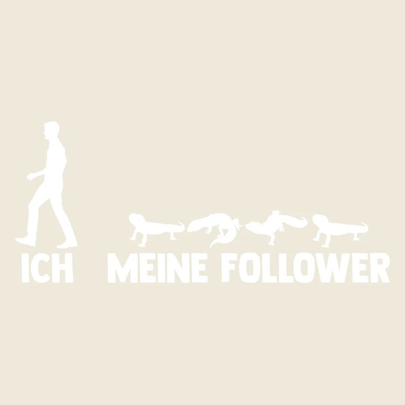 Eidechse Terrarium Reptilien Leopardgecko