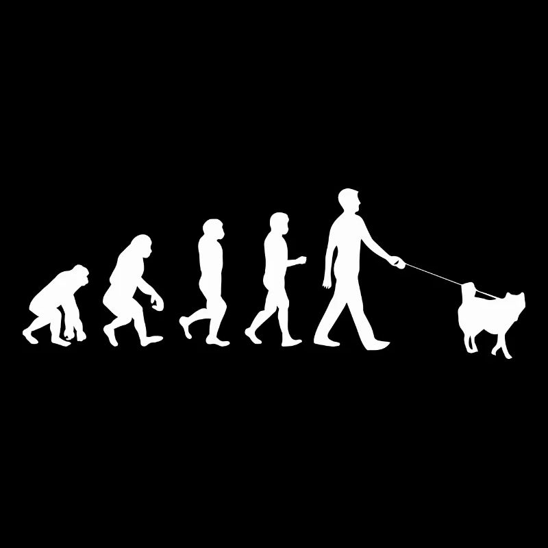 Husky Evolution