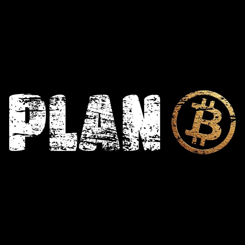 Plan B Bitcoin Krypto Crypto BTC