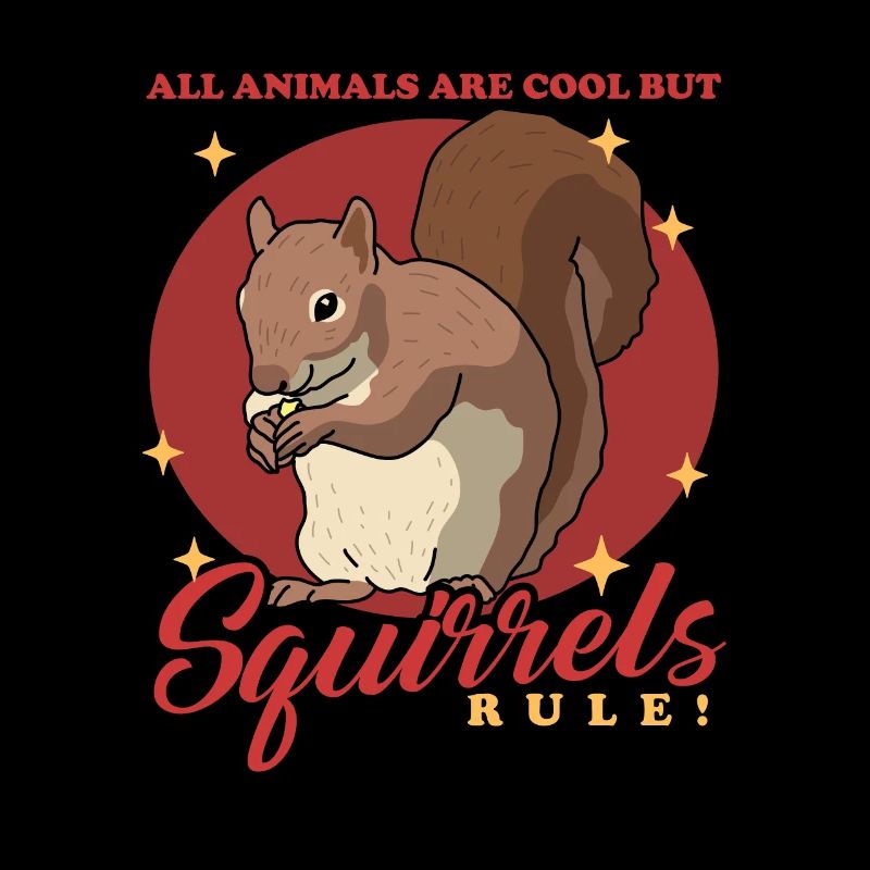 Écureuil mignon Écureuil gris Écureuil cadeau