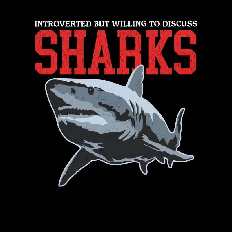 Requins Requin Grand Requin Blanc Requins Cadeau
