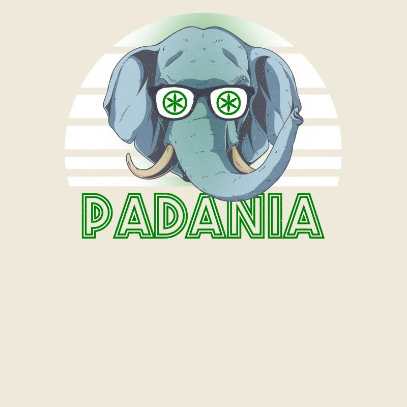 Padanie