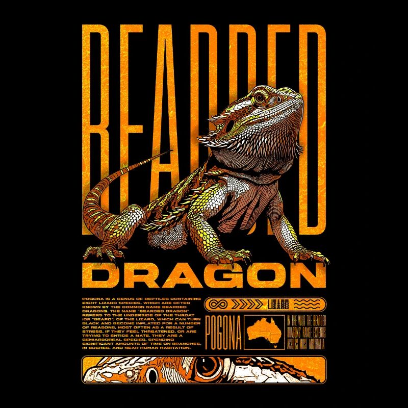 Bartagame Reptilienhalter Beardie Eidechse