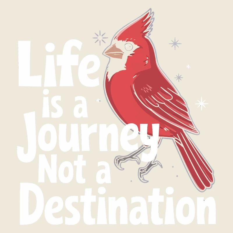 Kardinal Rotkardinal Vogel Roter Kardinal