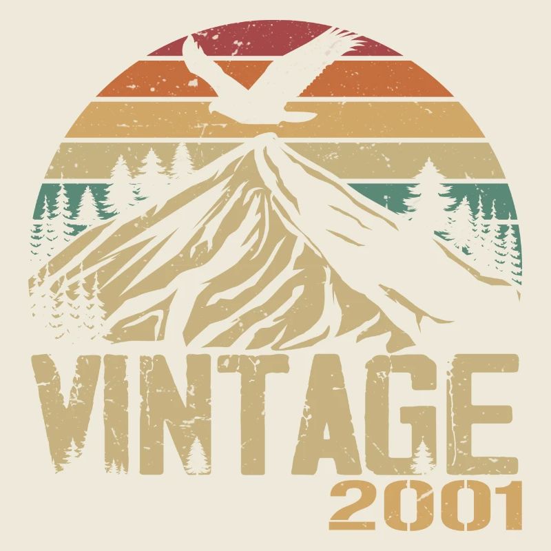 Jahrgang 2001 Retro 2001 Jubiläumsgeschenk