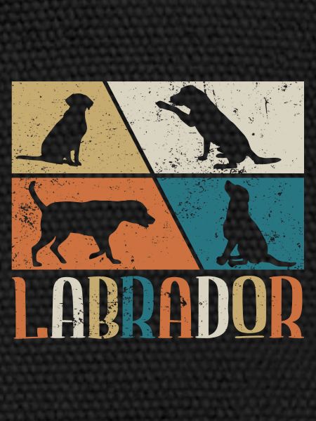 Labrador
