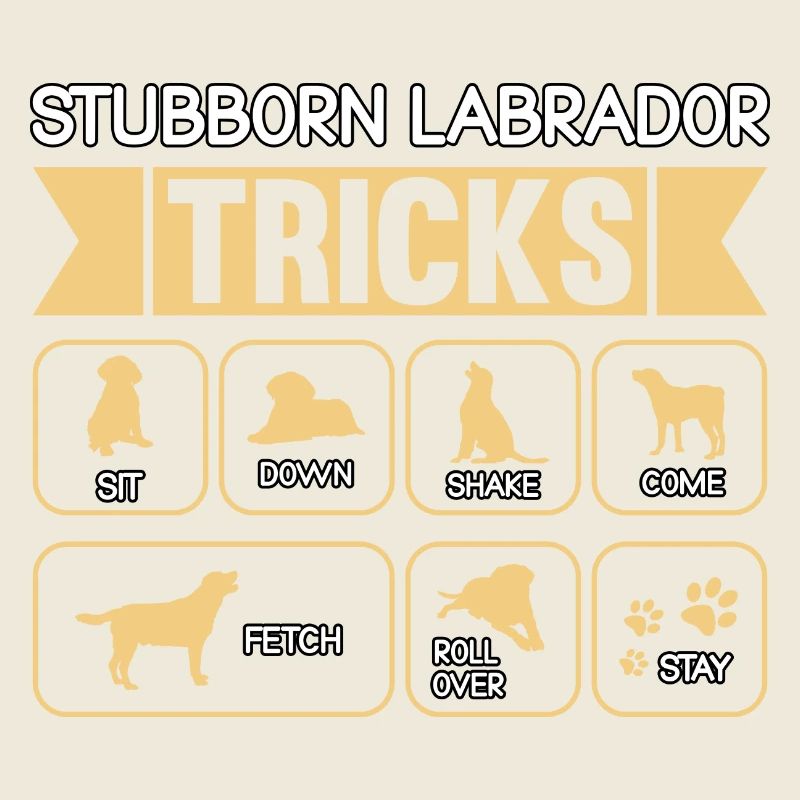 Stubborn labrador tricks