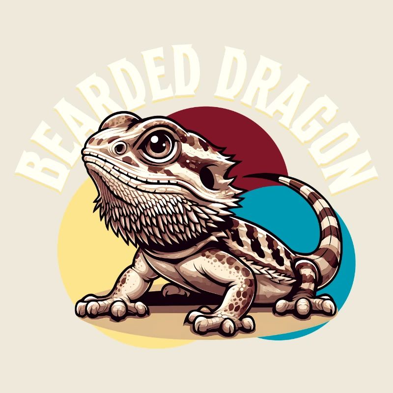 Bartagame Bartagamen Dragon barbu