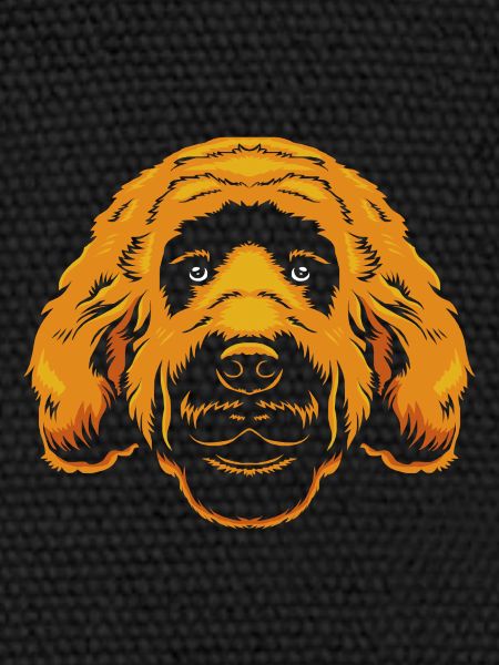 Goldendoodle