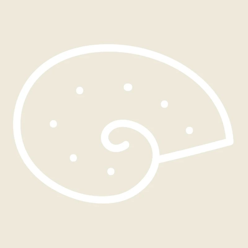 Ammonite - Escargot temporel