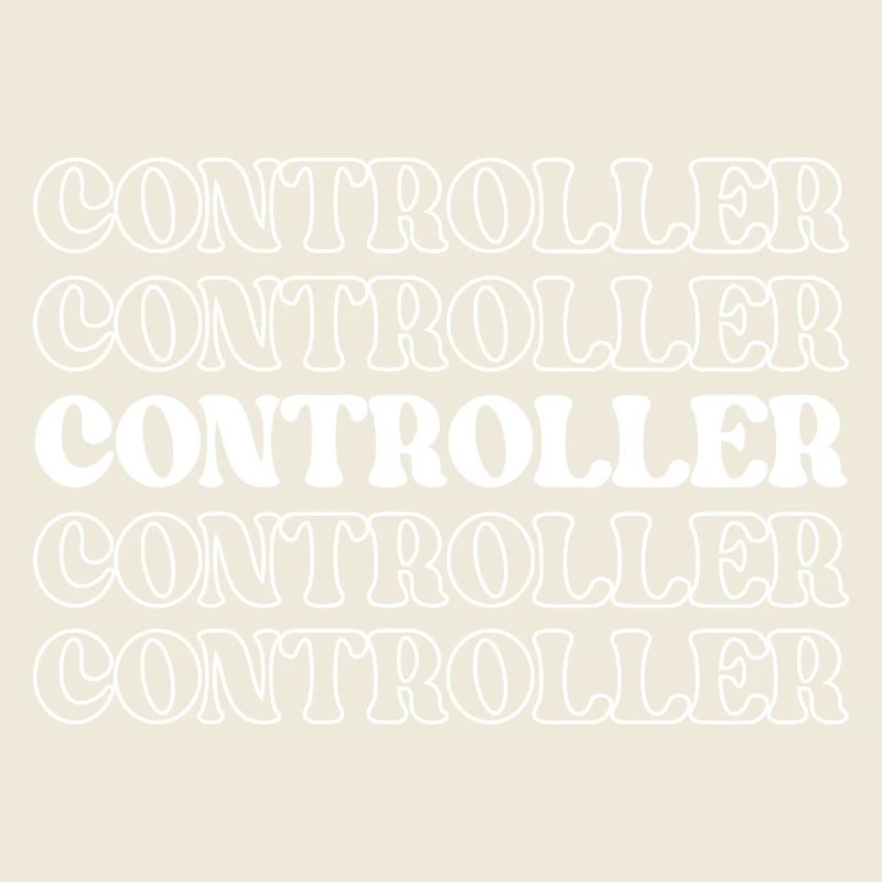 Controller Accountant Auditor Chief Financial