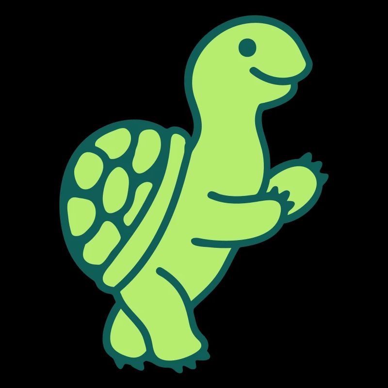 Turtle 2