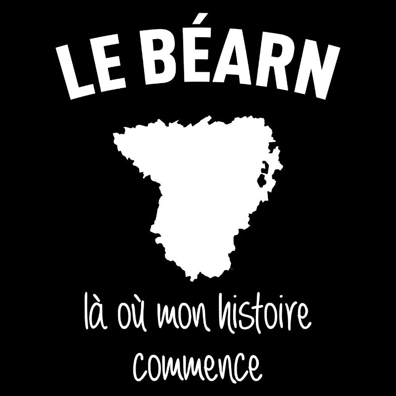 bearn-histoire