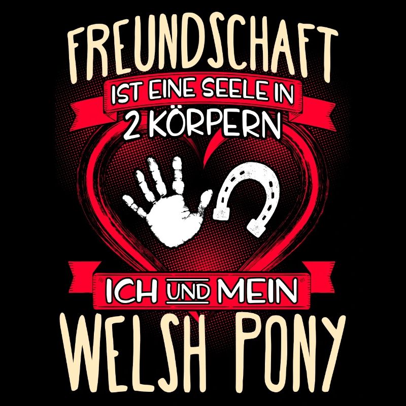 WELSH-PONY - 3