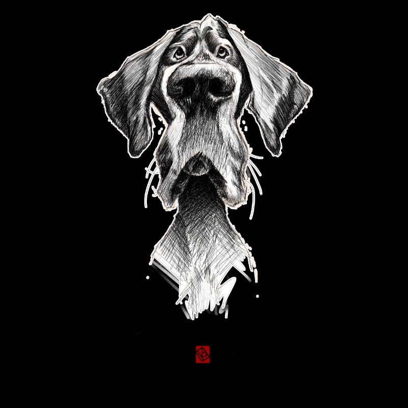 Sketchy Dog
