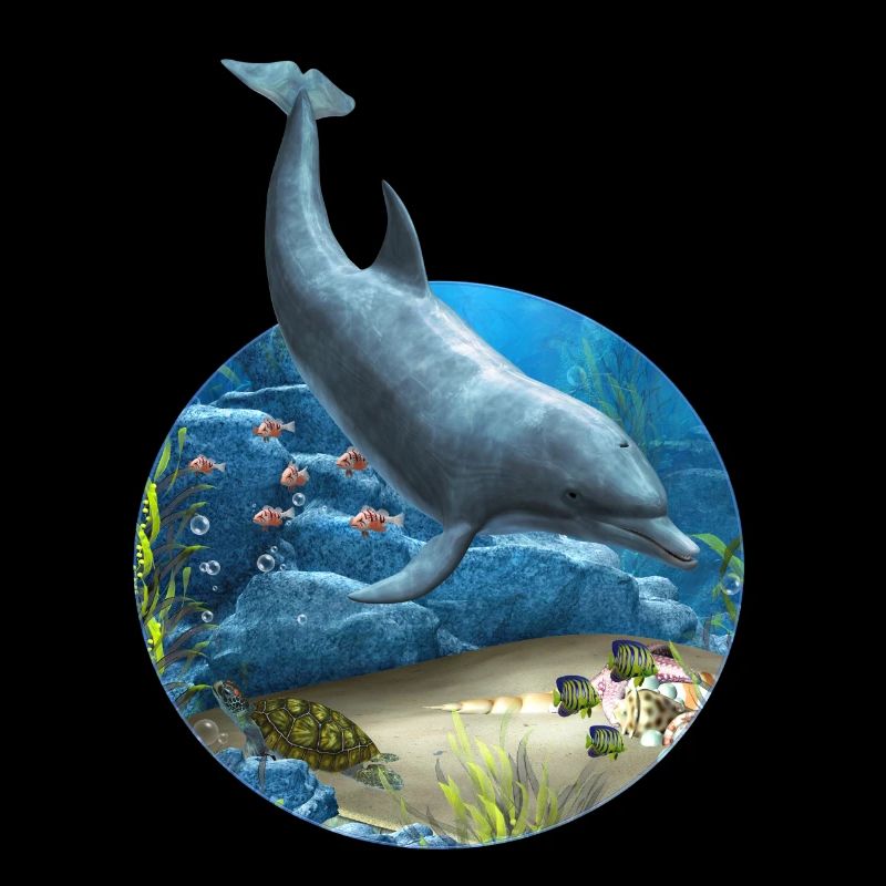 Le monde des dauphins