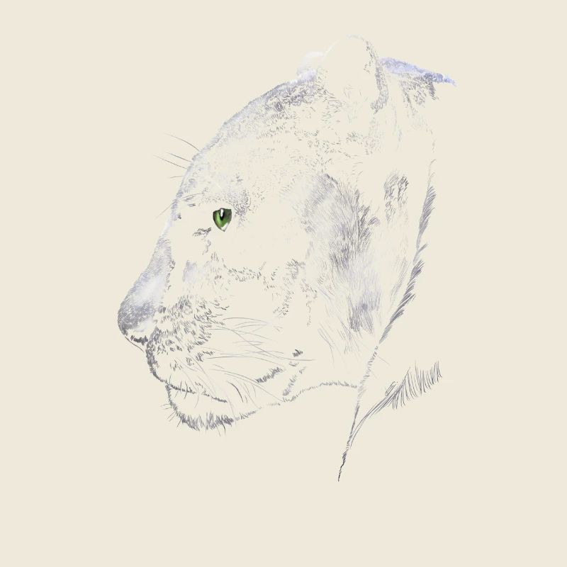 Panther