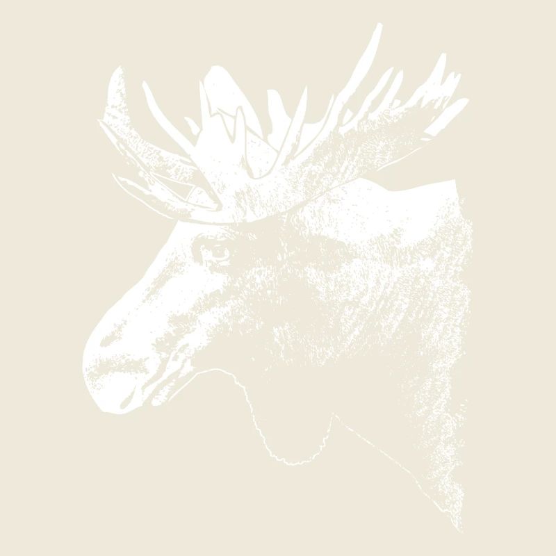 Elch - Moose