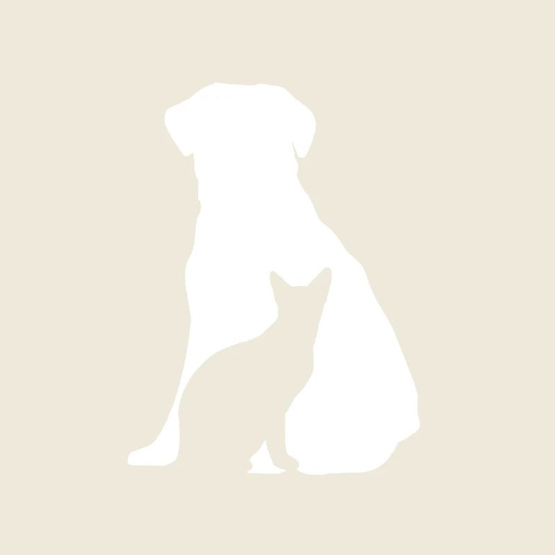 chien et chat