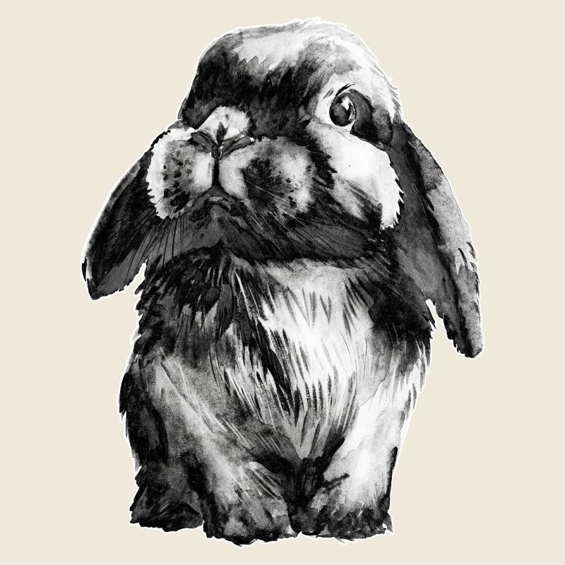 Rabbit Schlapohr