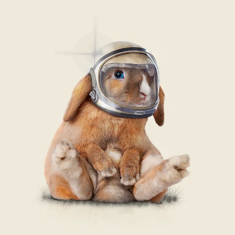 Spacerabbit