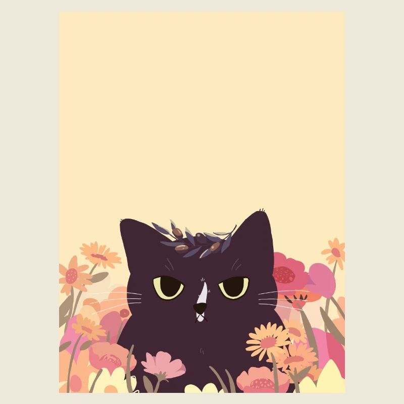 Chat