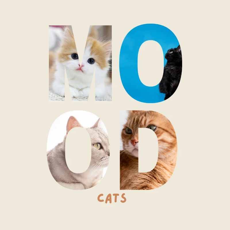 Mood Cats