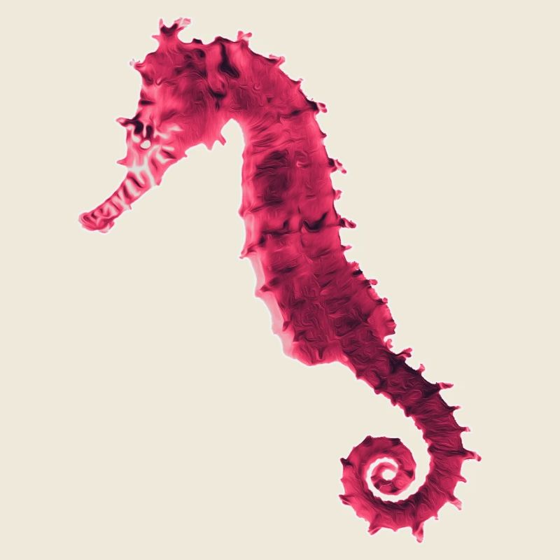 Hippocampe