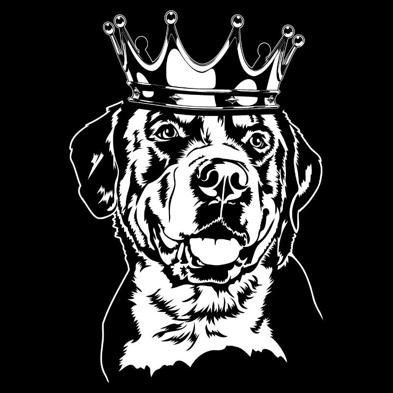 Grosser Schweizer Sennenhund Krone Hunde Wilsigns