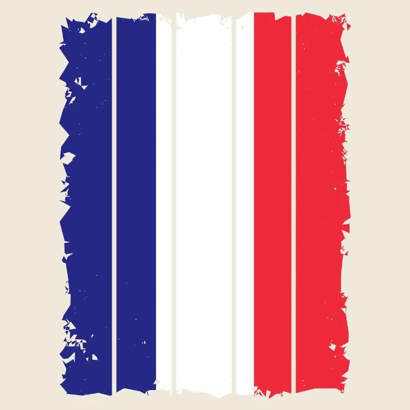 Drapeau de la France Utilisé Drapeau Français