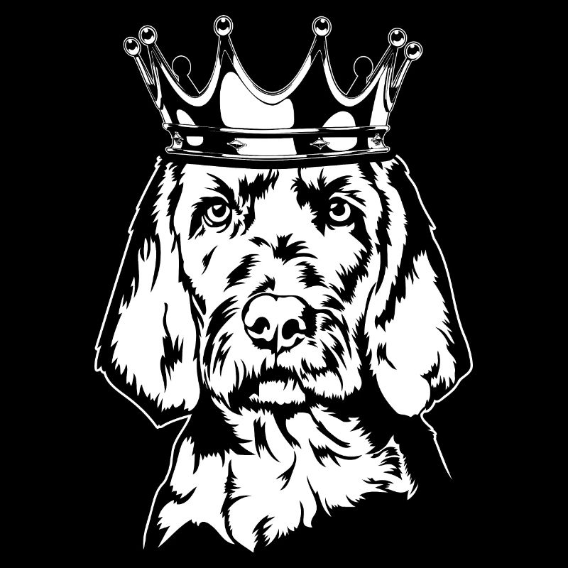 Drahthaar Vizsla Krone Hunde Hund Wilsigns