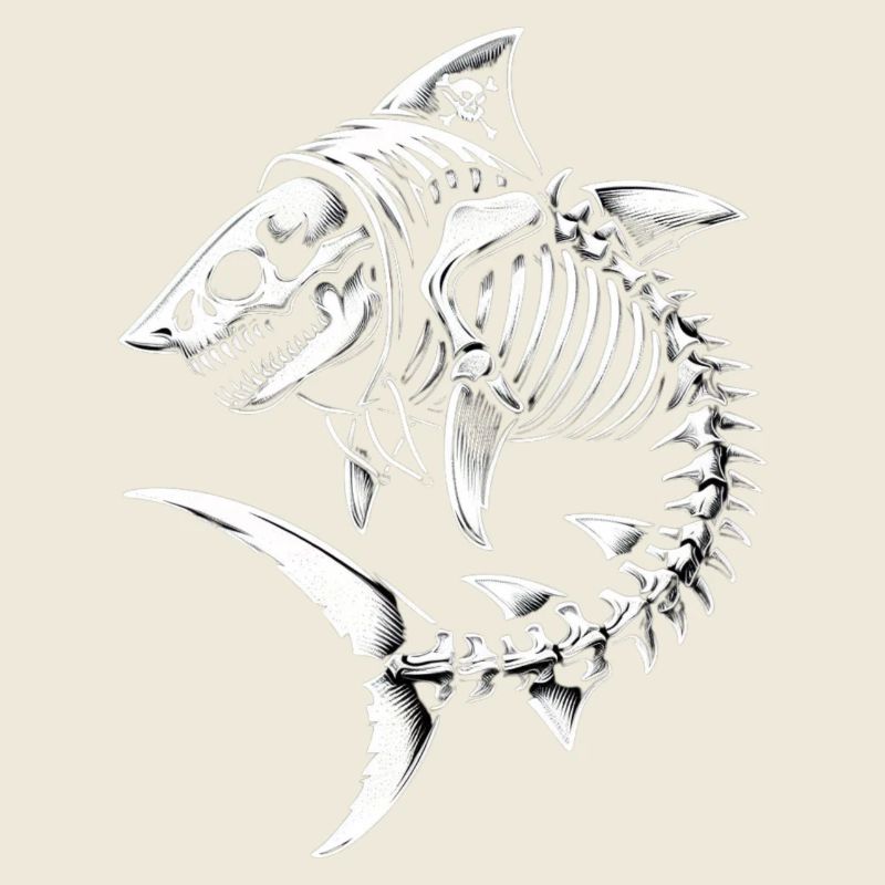 Requin
