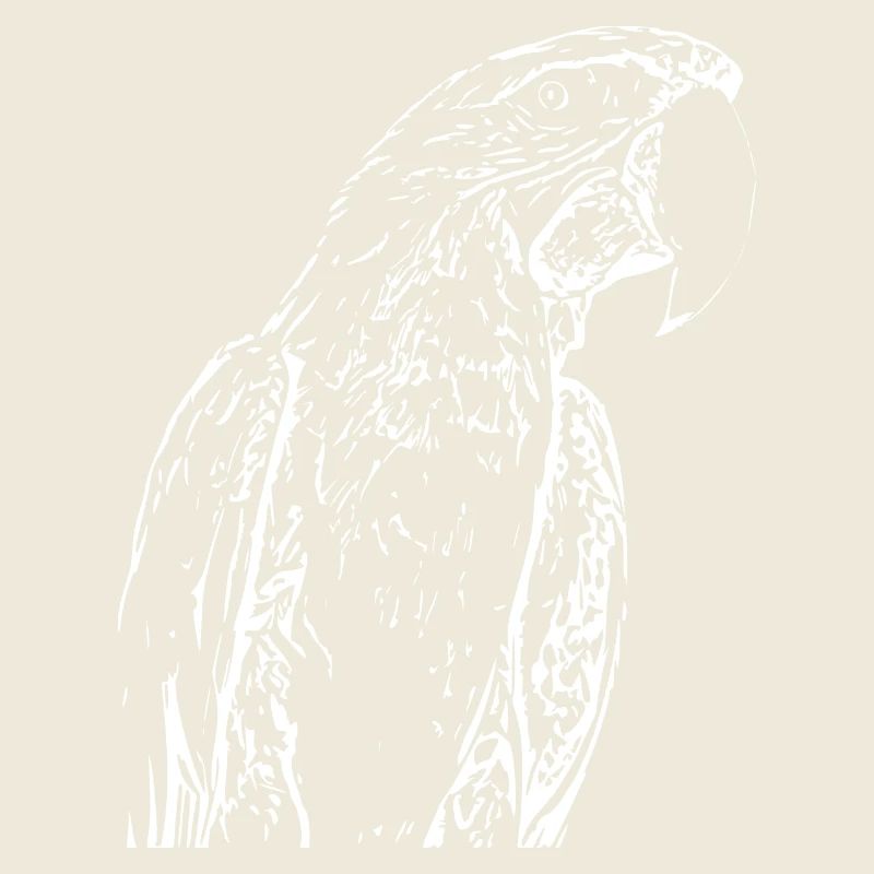 Perroquets Oiseau Blanc