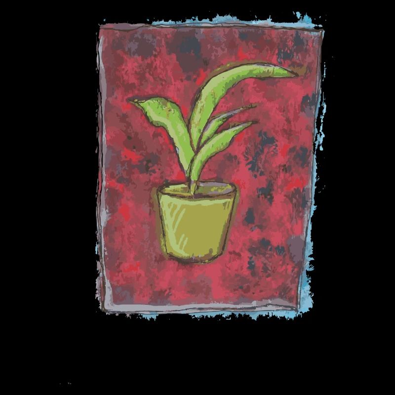 Dracaena Pflanze